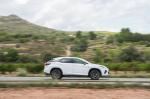 Lexus RX450h F-Sport 2019 года (WW)